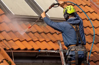 Démoussage et hydrofuge de toiture à Domjevin